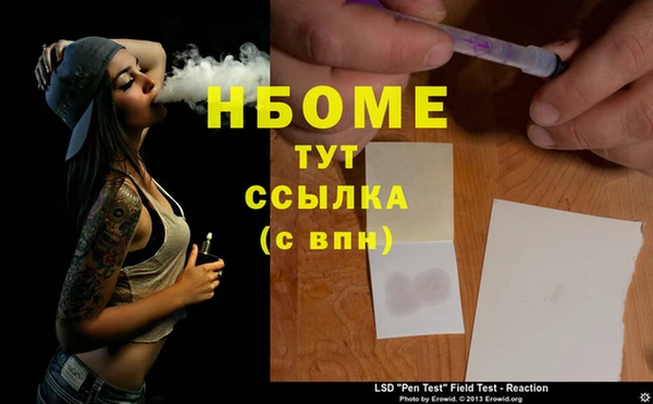 прущие грибы Белоозёрский