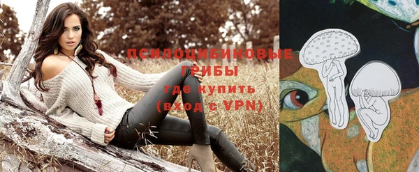 МДПВ Белокуриха