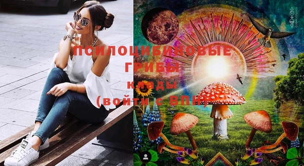МДПВ Белокуриха