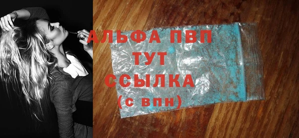 прущие грибы Белоозёрский