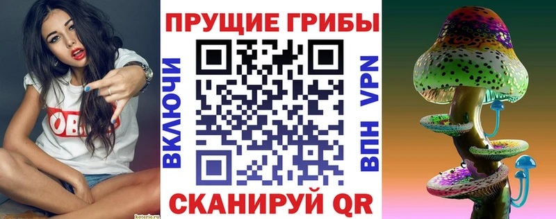 Галлюциногенные грибы ЛСД  купить закладку  Тольятти 